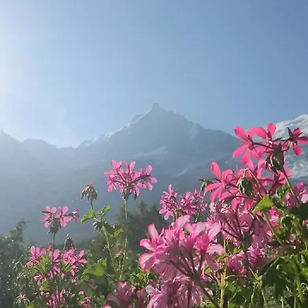 Chalet Des Splendeurs Apartament Chamonix